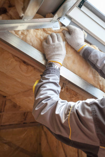Best Insulation Maintenance and Repair in Rosend, LA