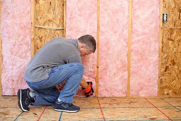 Best Specialized Insulation Services in Rosend, LA