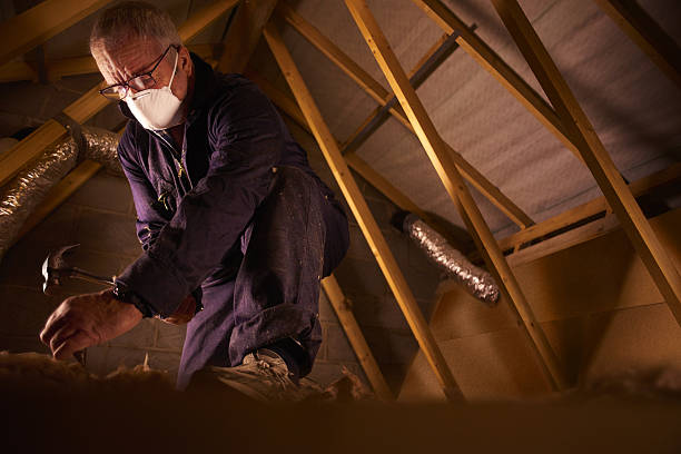 Types of Insulation We Offer in Roseland, LA