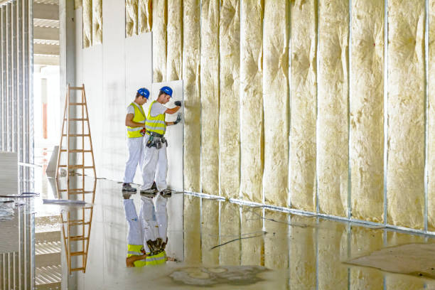 Best Geographic-Specific Insulation Services in Rosend, LA